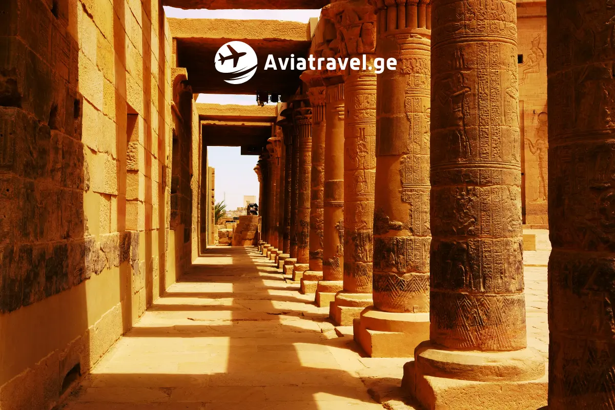 Turebi ყველა მიმართულებით