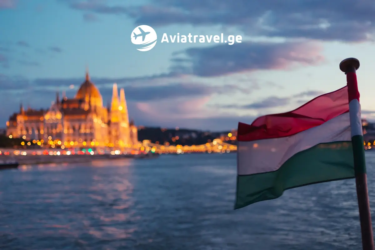 Turebi ყველა მიმართულებით