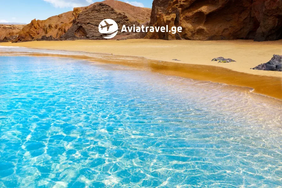 კანარის